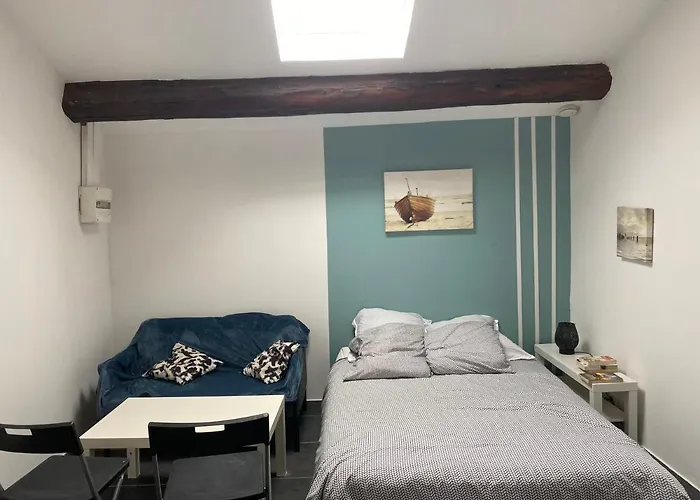 20 M2 Meuble A 50 M De La Gare 公寓